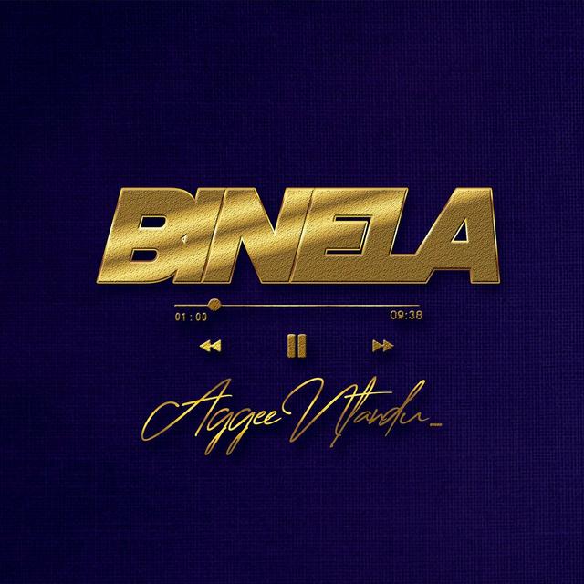 Album cover art for Binela