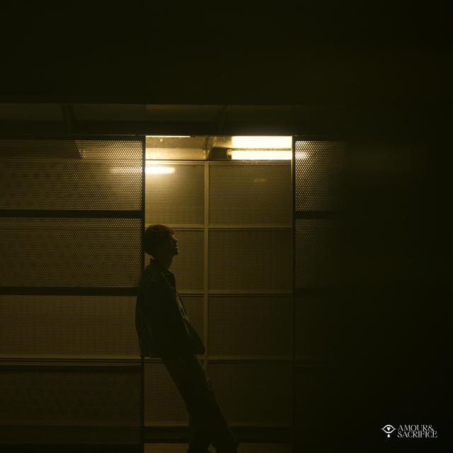 Album cover art for Chagrin De Plus