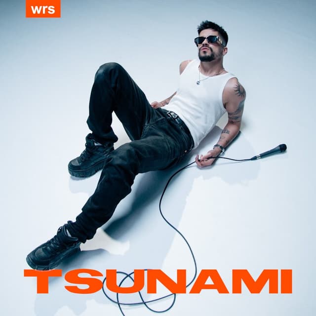 Album cover art for Tsunami