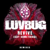 Album cover art for Revive (Say Something)