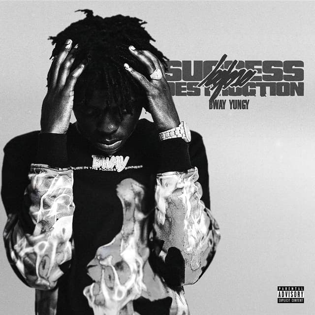 Album cover art for Success Before Destruction