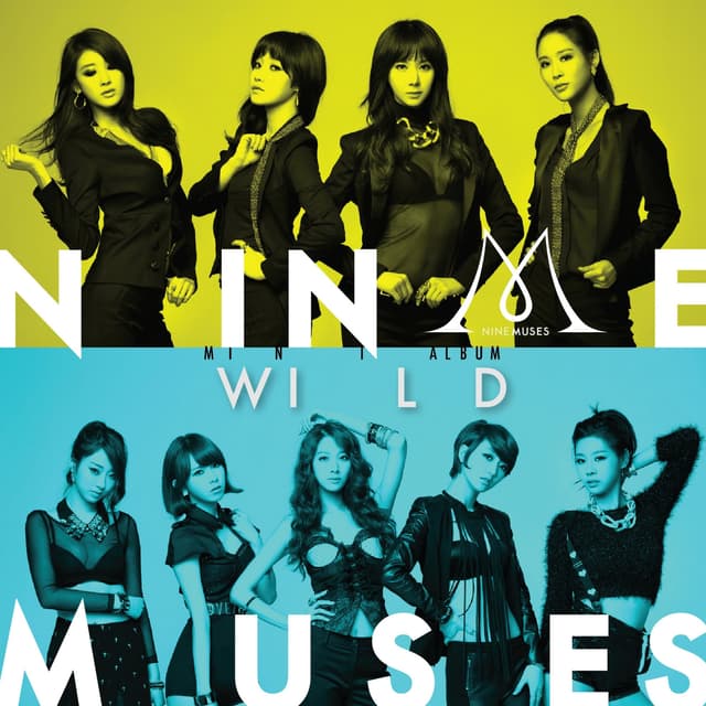 Album cover art for WILD