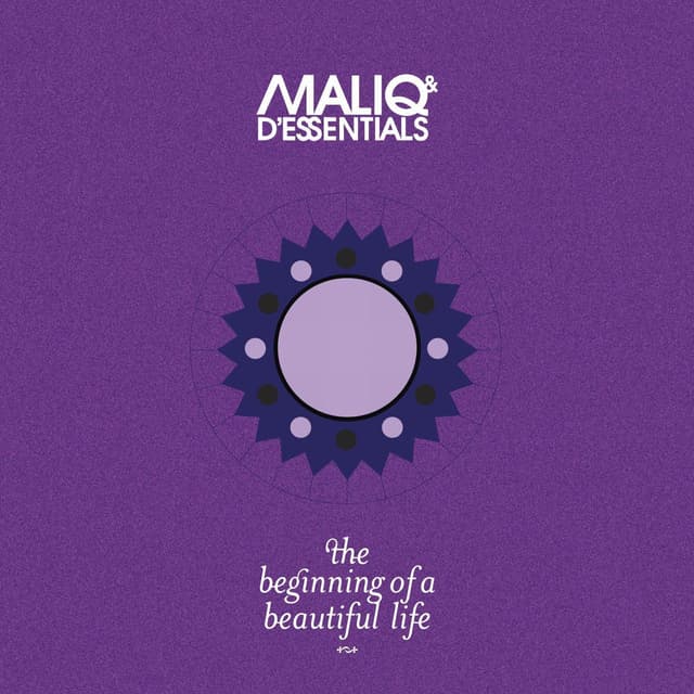 Album cover art for The Beginning Of A Beautiful Life