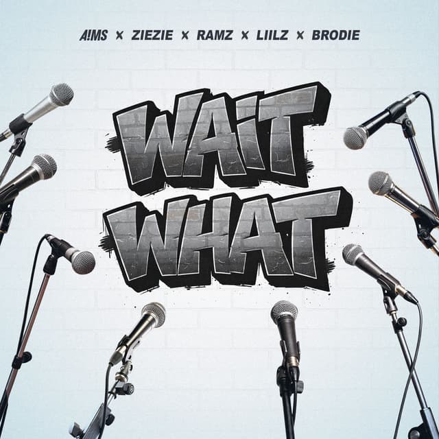 Album cover art for Wait What