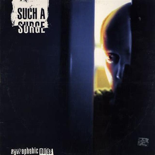 Album cover art for Agoraphobic Notes