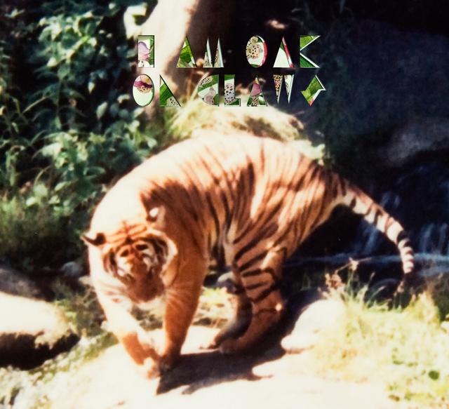 Album cover art for On Claws