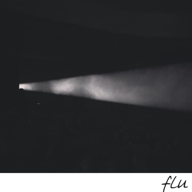 Album cover art for flu