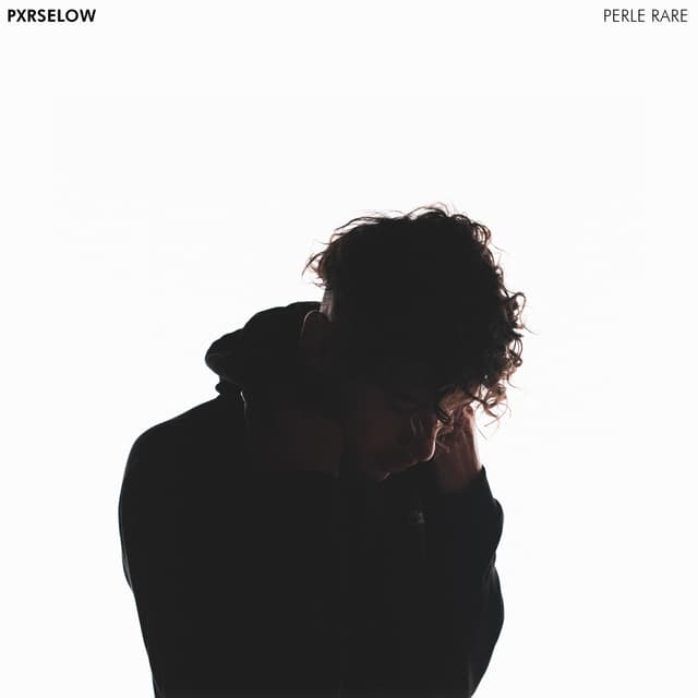 Album cover art for Perle Rare