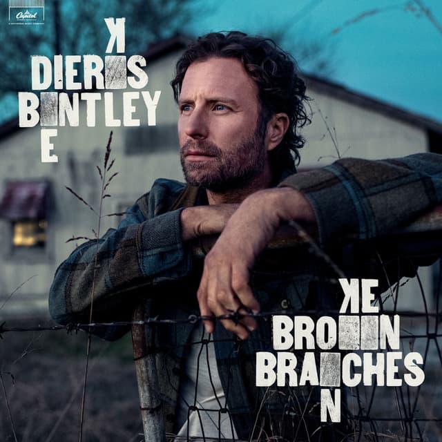 Album cover art for Broken Branches