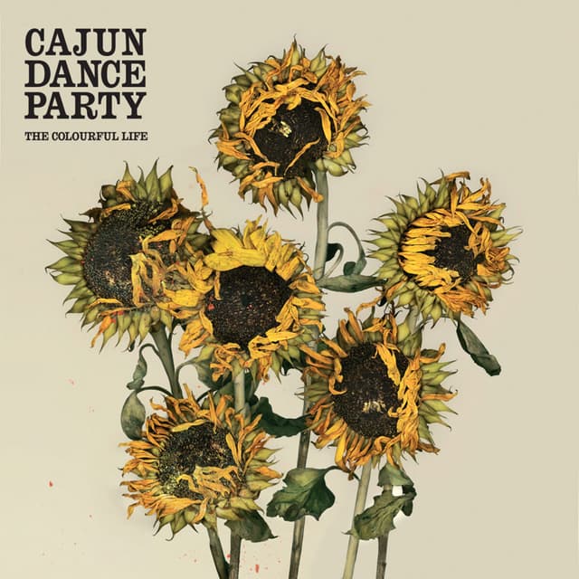 Album cover art for The Colourful Life
