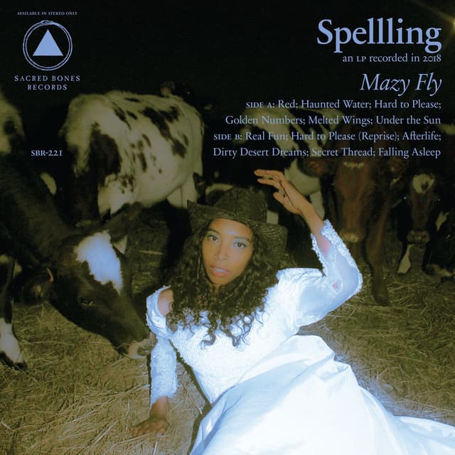 Album cover art for Mazy Fly