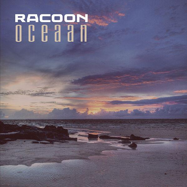 Album cover art for Oceaan