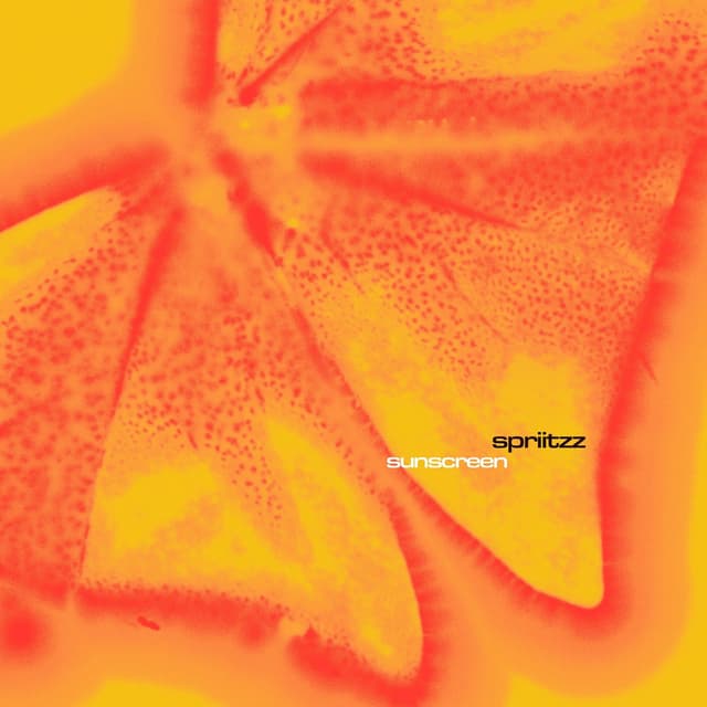 Album cover art for Sunscreen