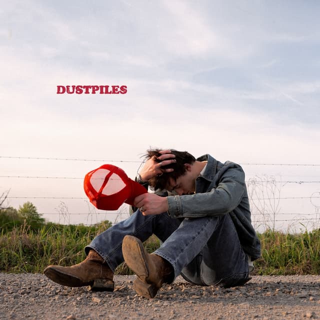 Album cover art for Dustpiles