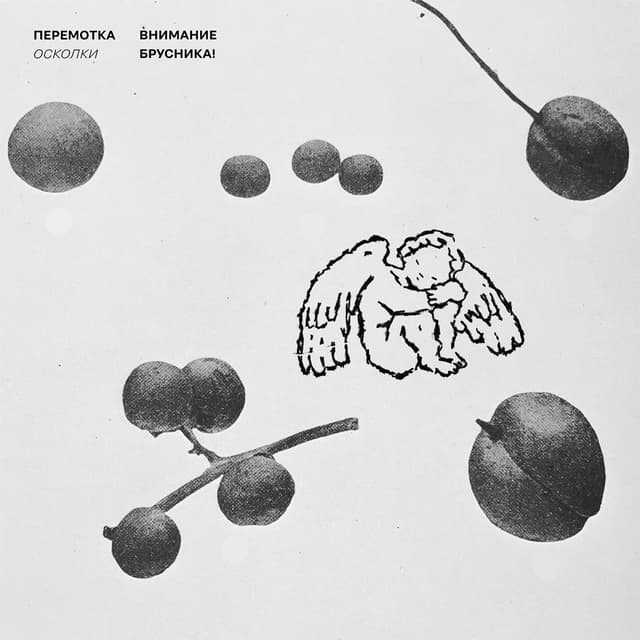 Album cover art for Осколки