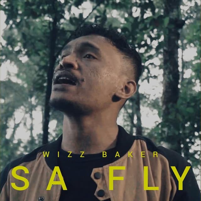 Album cover art for Sa Fly