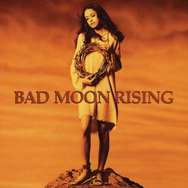 Album cover art for Blood