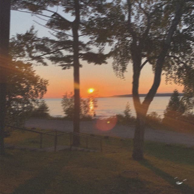 Album cover art for last night