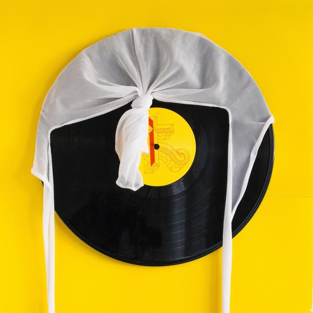 Album cover art for Tøyen Holding