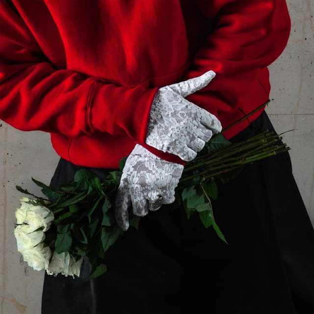 Album cover art for SEES IGJEN