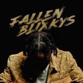 Album cover art for Fallen Blixkys