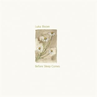 Album cover art for Before Sleep Comes