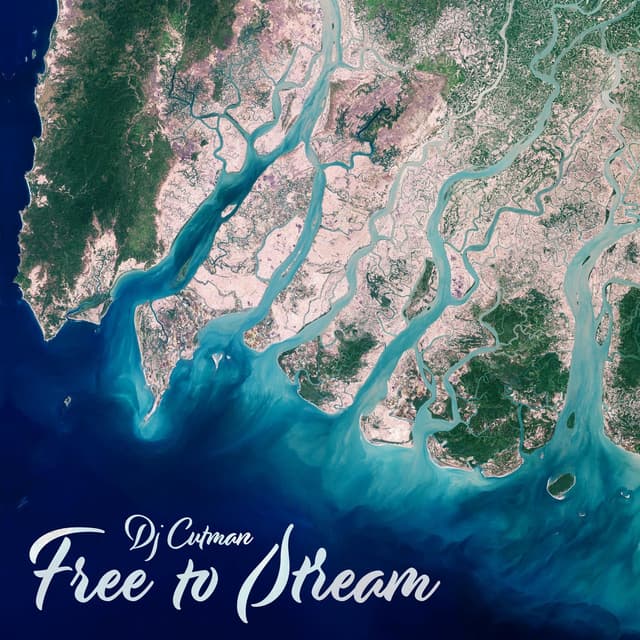 Album cover art for Free to Stream
