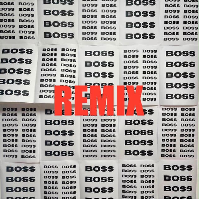 Album cover art for Boss