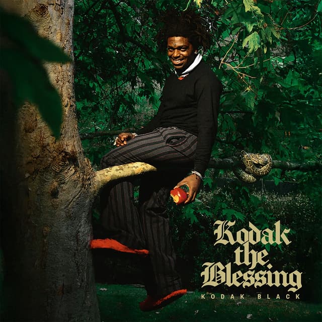 Album cover art for Kodak the Blessing