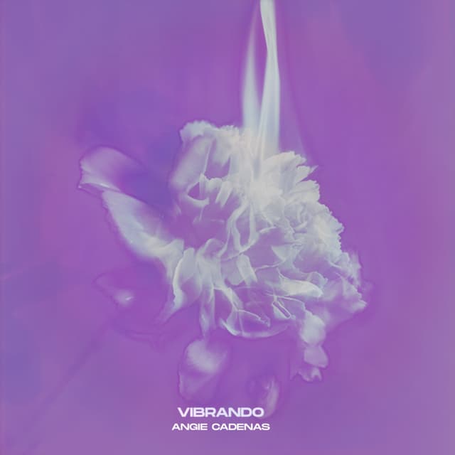Album cover art for VIBRANDO