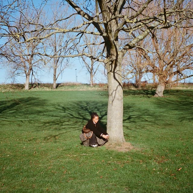 Album cover art for should i give it up?