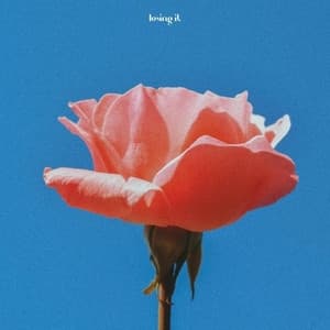 Album cover art for Losing It