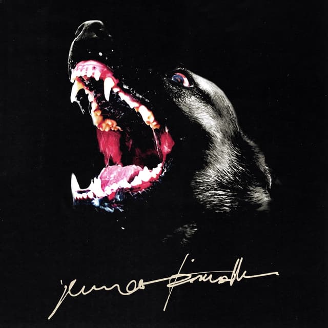 Album cover art for Bäst i Sverige