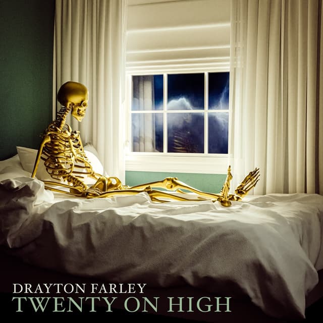 Album cover art for Twenty on High