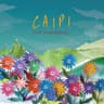 Summer Song