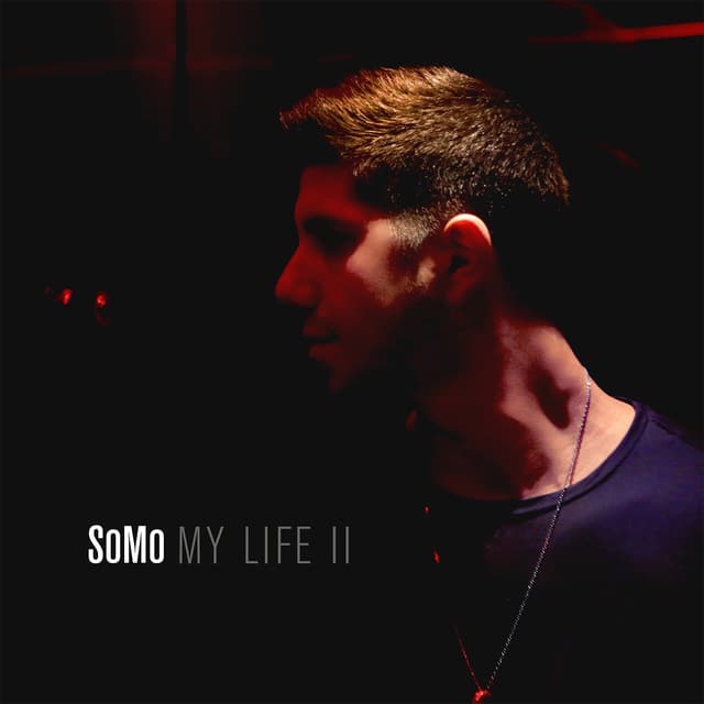 Album cover art for My Life II