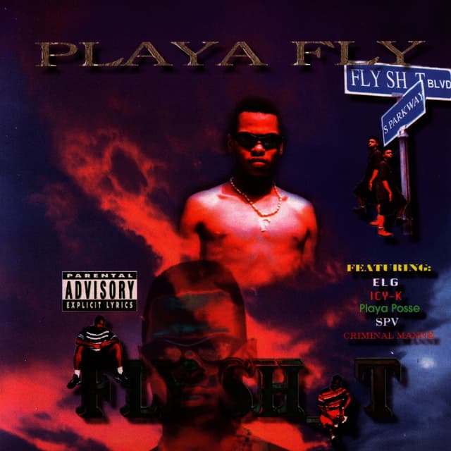 Album cover art for Fly Shit
