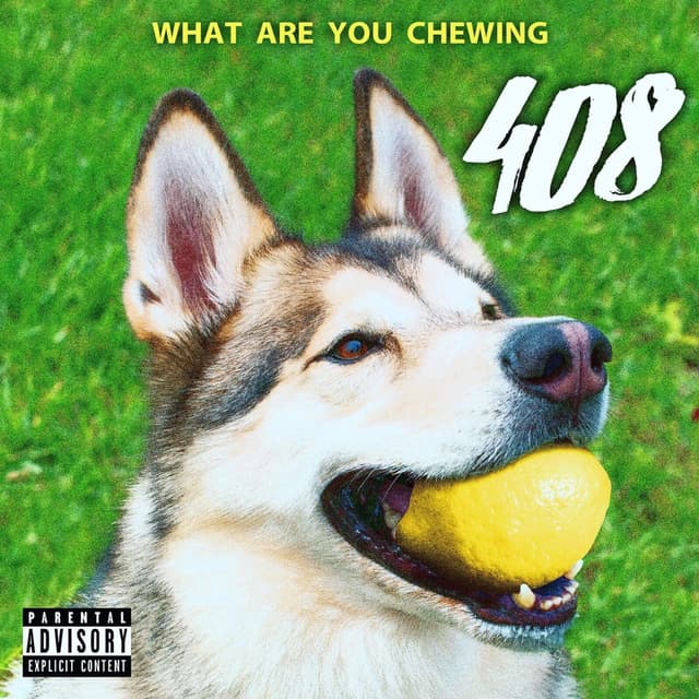Album cover art for What Are You Chewing