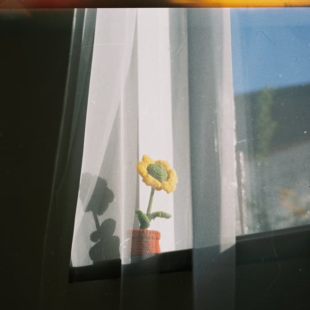 Album cover art for Men senı taptym