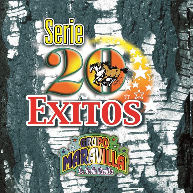 Album cover art for Serie 20 Exitos