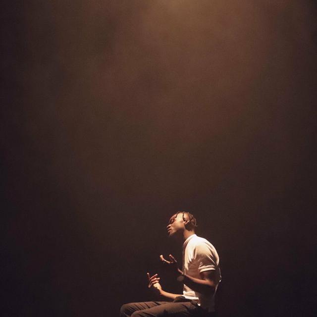 Album cover art for Omdat Het Kan