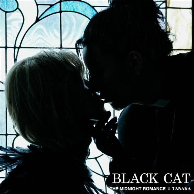 Album cover art for BLACK CAT