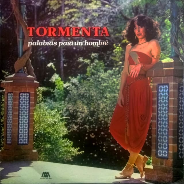 Album cover art for Palabras Para Un Hombre