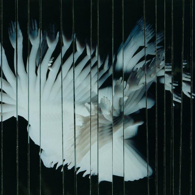 Album cover art for Endlessly