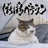 死亡フラグを立てないで