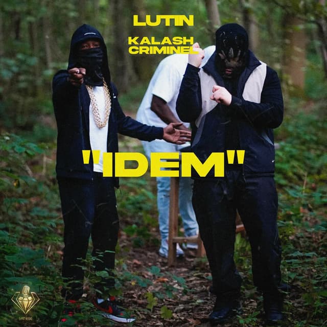 Album cover art for IDEM