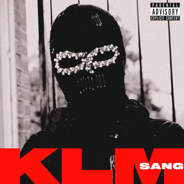Album cover art for Sang