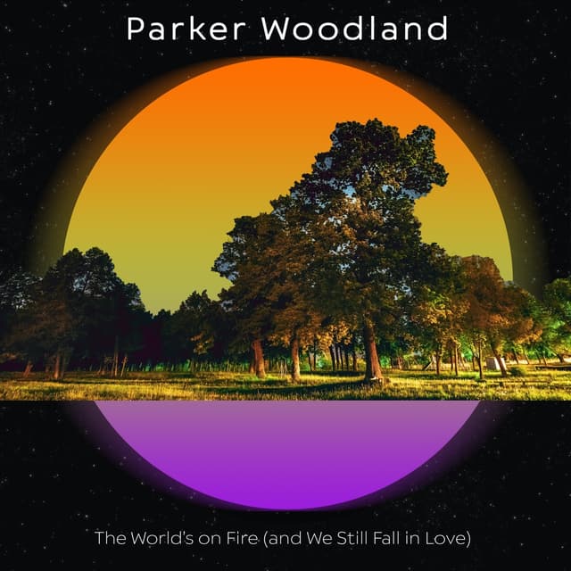 Album cover art for The World's On Fire (and We Still Fall In Love)