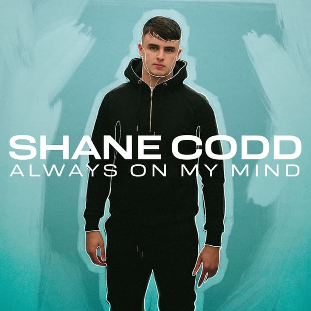 Album cover art for Always on My Mind