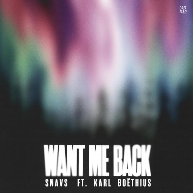 Album cover art for Want Me Back